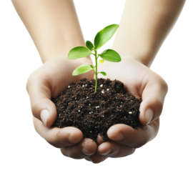 Top 9 Engaging Environmental Science Worksheets for Middle School (Grades 6-8)