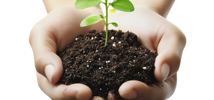 Top 9 Engaging Environmental Science Worksheets for Middle School (Grades 6-8)